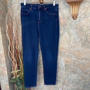 Ann Taylor loft the skinny jeans indigo blue denim 30/10